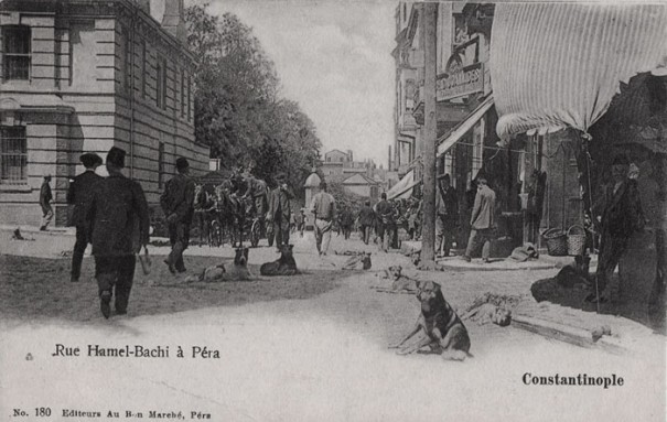 Le haut de la rue Hamalbaşı, vers 1900