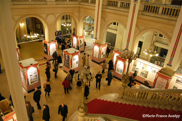 Exposition vue de la galerie 